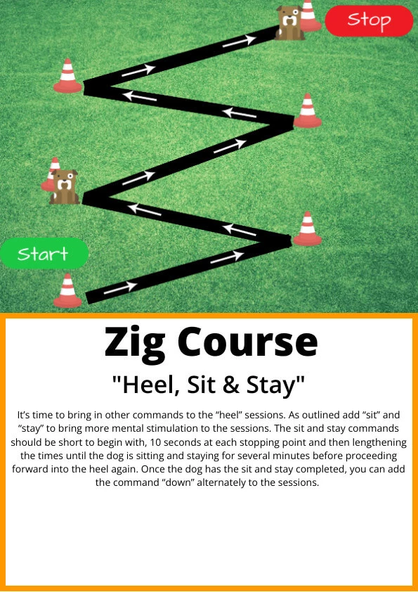 zig-sit